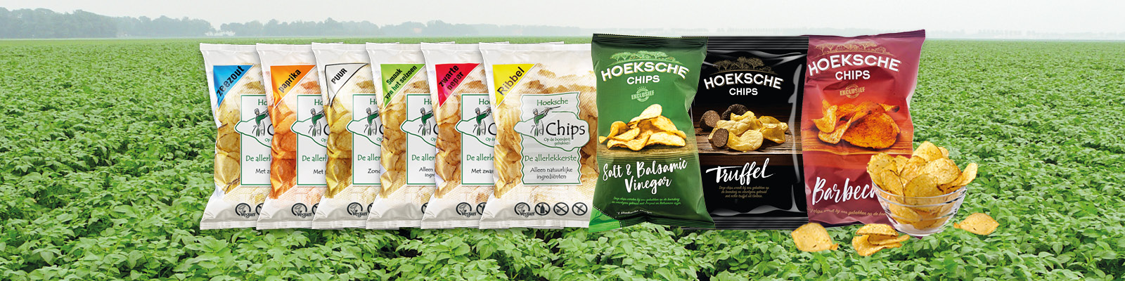 Hoekse_Hoeve_Header2023_1600x400